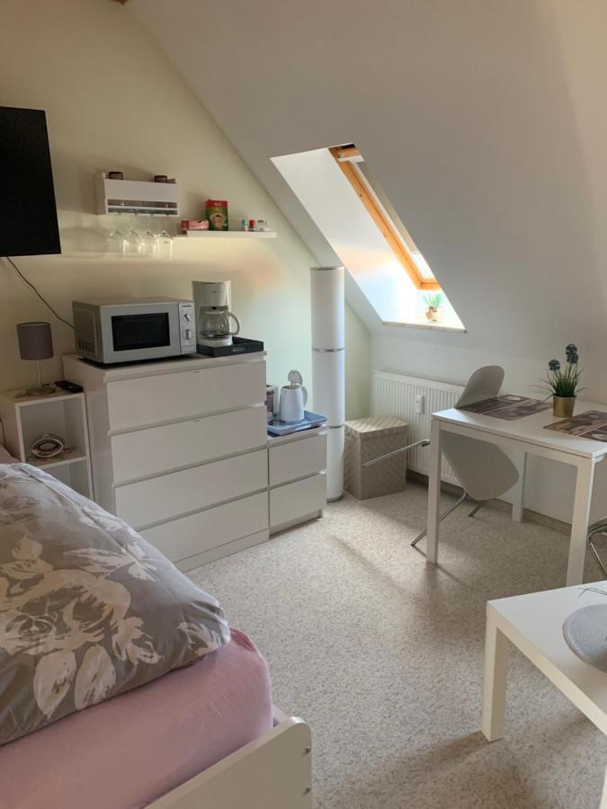 Apartment Am Goethe Park Jena Esterno foto